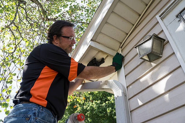 Historical Building Siding Restoration in Dry Run, OH